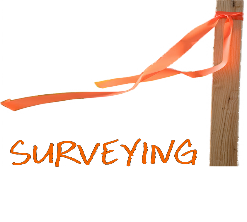 Surveying logo